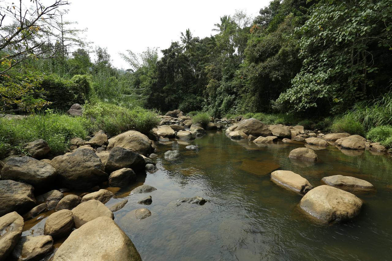 Ayursakthi Riverdale Munnar Exterior foto