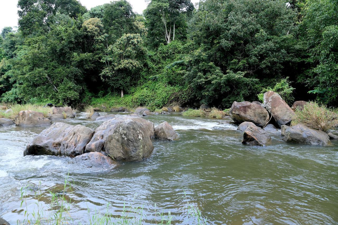 Ayursakthi Riverdale Munnar Exterior foto